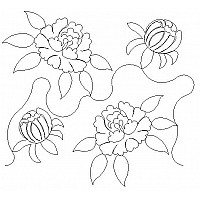 peonies pano 001